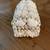 Seashell Box, Butterfly & Floral Wall Piece, Vintage Nesting Basket 3 thumbnail