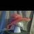 Amazing hat colection vintage 14 thumbnail