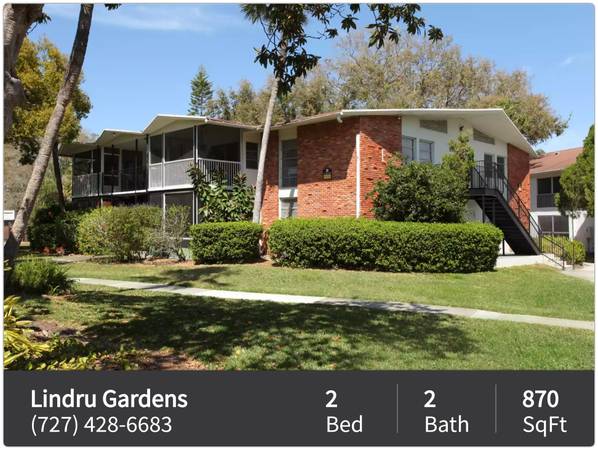$1,604 / 2br - 870ft2 - Your dog or cat is welcome! Amazing pet-friendly 2 BR / 2 BA! (Clearwater - Near Parks and Beaches)63991086098050121