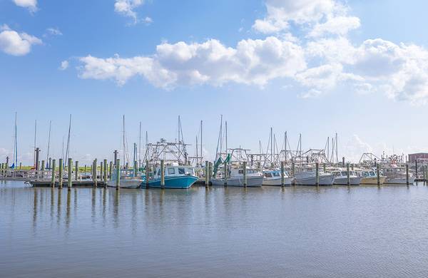 $1,495 / 1hab - 649ft2 - Encimeras de granito, electrodomésticos nuevos y lavadora/secadora en casa (Metairie)63792245782787123