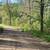 brush clearing-skidsteer work 16 thumbnail