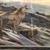 “Arctic Encounter” c.2004 by Alaskan artist Shane Lamb 4 thumbnail
