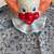 Bozo the Clown Vintage  1985 /Charlie Brown Plate 1 thumbnail