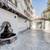 Laundry Facilities, Courtyard, Elevator 4 thumbnail