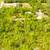 2.46 Acres – Builder/Developer Special 8 thumbnail