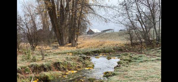 20-Acre Farm in Stevens County 1