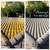 5-star ROOF CLEANING, MOSS REMOVAL, GUTTER and SOLAR PANEL CLEANING 2 thumbnail