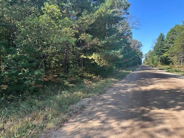 $35,000 Build your cabin or set up camp! 4.86 Acres in Baldwin MI (Baldwin)64037723058049121
