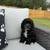 Akc American cocker spaniel puppy 1 thumbnail