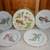 Rosanna Set Of 4 Salad Plates Leprechaun Shoes In Case 1 thumbnail