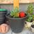 Pots with post 1 thumbnail