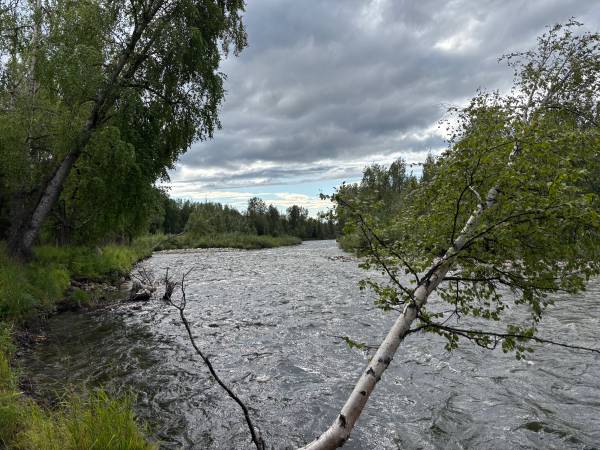 $390,000 / 532738ft2 - 12.23 Acres of Alaskan paradise (Willow)64004784232835124