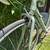 Cannondale Bike Frame/ Road Bike 4 thumbnail