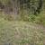 36 acres of woods for your recreation needs 6 thumbnail