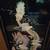 Asian Stunning Mother-of-Pearl Set of Four Dragon Panels 1960's 4 thumbnail
