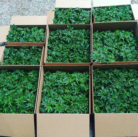 You ready for your next GROW?? 1