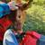 Gentle Heat Tolerant Grass Efficient Cows - Gelbvieh/Red Angus/Senepol 8 thumbnail