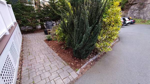 $185 / 150ft2 - Private Off-Street Parking in JP - Get Ready for Fall and Winter (Jamaica Plain)63699236722051121