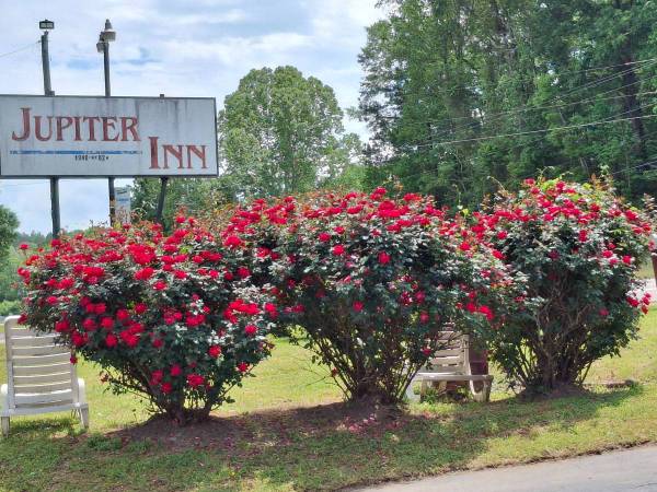 RV and Trailers AVAILABLE! 1