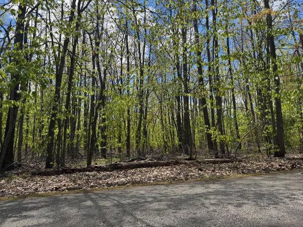 $34,700 / 80150ft2 - Beautiful Wooded 1.8 acre parcel for sale (Gaylord)64037725103619122