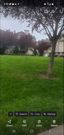 $800 / 2br - 967ft2 - 2 bed 2 bath washer dryer 3rd floor (Beaverton)63820708002689121