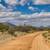 Diamond Bell Ranch 1.35 Acres Lot/Land  - $35,000 13 thumbnail