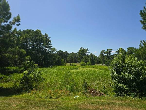 Excavator Needed for Farm Pond 1