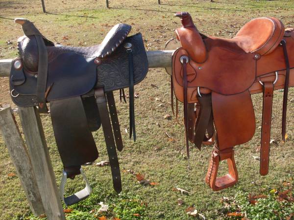 saddle 1