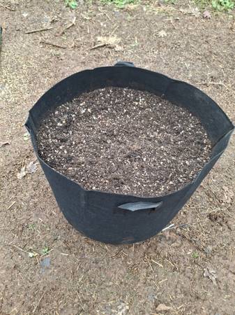 25 GAL SMART POTS FULL OF ORGANIC SOIL 1