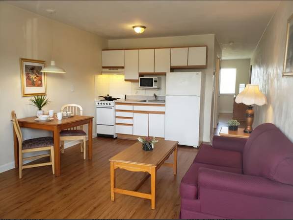 $455 / 1br - 550ft2 - Estadía prolongada amueblada con estilo de apartamento (Rocky Mount)63861960804995121