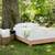 Organic cotton & latex Mattress for clean sleep Was$1799  Now 7 thumbnail