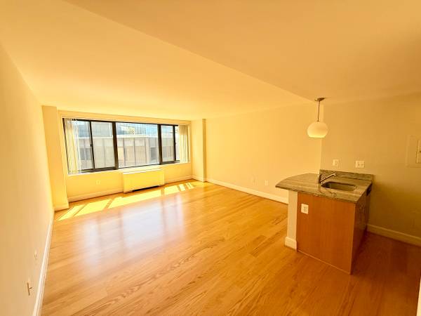 $2,400 / 1br - 460ft2 - Hamilton House: Amazing 3rd Floor Remodeled Studio With A Pool View (Dupont Circle)63896277885954123