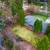 Your Dream Home in South East Kelowna 9 thumbnail