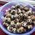 Jumpbo Coturnic baby quails 1 thumbnail