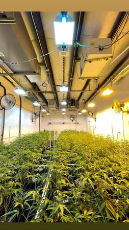 $525,000 Exceptional OLCC Indoor Cannabis Production Facility in Bend, Oregon63839289330433120