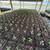 Warrenton Plants Nursery Nurseries 8 thumbnail