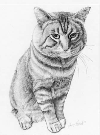 Retratos de mascotas (Urbandale)63671589209475121