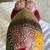 VTG Hand Painted Colorful Wood Carved Elephant Figurine Statue 10 L x 7 H India 9 thumbnail