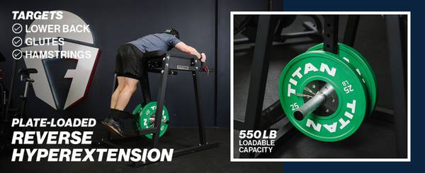Reverse Hyperextensions Lower Body Machine 1