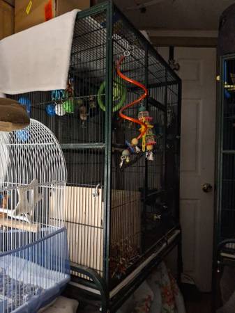 Wrought Iron Hammered Flight Cage (GREEN) (Rochester, NH)63843455223937122