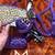 Tacktical Equine horse halter 3 thumbnail