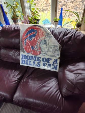 Buffalo Bills sign 1