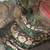 Corn snake & ball python 5 thumbnail
