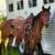 3 yr old AQHA Filly 2 thumbnail
