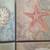 Lot of 4 Seashell Wall Decor 4 thumbnail