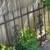 Window Grates or Bars 2 thumbnail