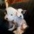 Chinese Crested hairless puppies 6 thumbnail