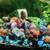 Feeder snails rehome 2 thumbnail