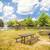 1BR 1 Bath. Minutes to Fort Meade! Free Rent Concession! 10 thumbnail