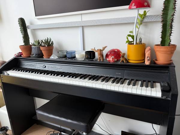 Casio Privia Px-760 Digital Piano with stool 1